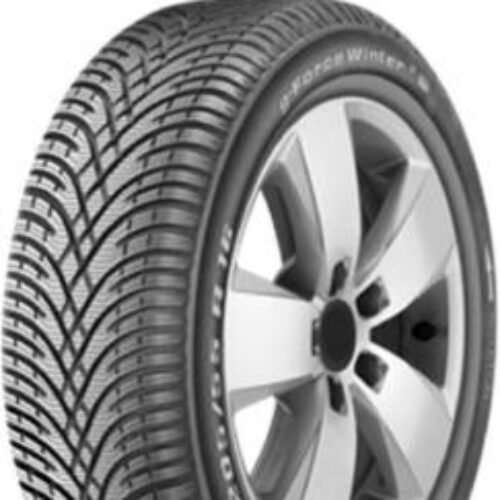 BF GOODRICH 215/65 R16/102H G-FORCE WINTER 2 SUV M+S